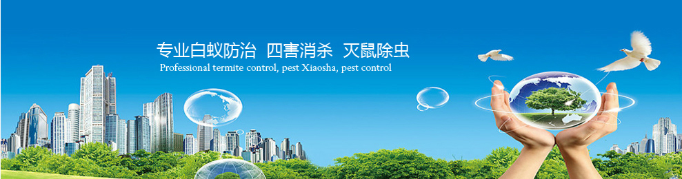 ����Դ�F���t�S��